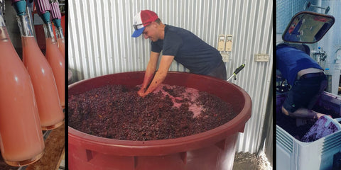 Three winemaking scenes—punch-down, bottling, and tank clean-out—highlighting small-producer craft.